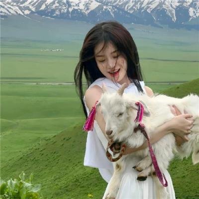 苹果小镇的国王